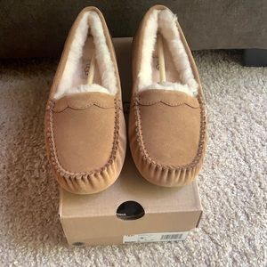 Brand new, never worn Ugg slippers